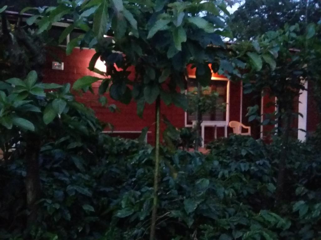 Athena Homestay Somvarpet Экстерьер фото
